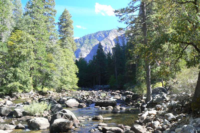 Yosemity e Sequoia National Park